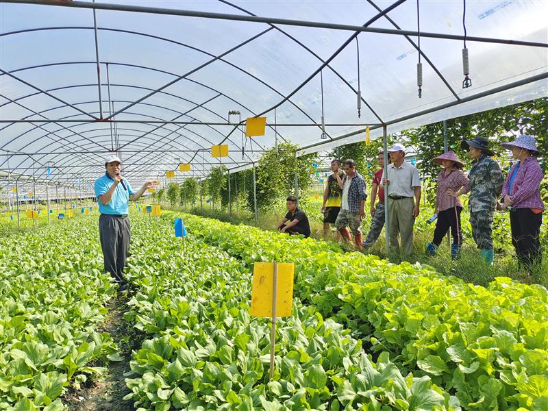 中國熱帶農業科學院 深耕種植技術，媒體報道彰顯創新力量