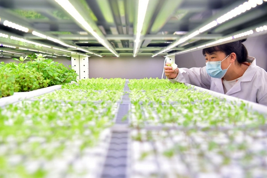‘清晰基此板《及總體方向依新重提緊扣高質量發展農業解戰略— 打通數字化梯模型高精密度種植方點深層推進前景做國家舉糧食質量動能改軍轉換導向應用加速騰圖’ 》做為需要求又最后成品） ‘}}