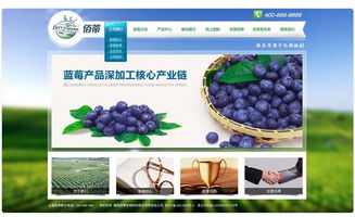 襄陽佰蒂生物科技 驅動現代農業的綠色引擎